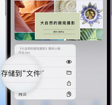 姑苏apple维修中心分享iPhone文件应用中存储和找到下载文件