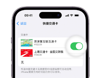 姑苏apple维修点分享iPhone上更换Apple Pay快捷交通卡手绘卡面 