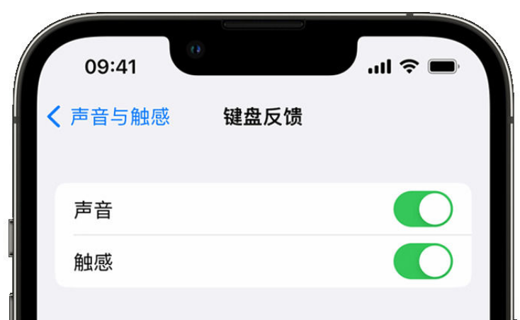 姑苏苹果手机维修分享iPhone 14触感键盘使用方法 