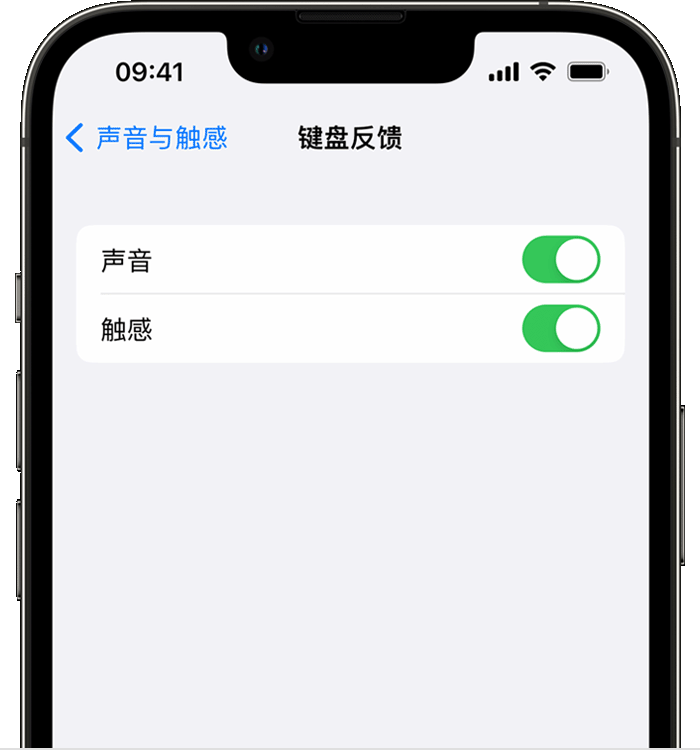 姑苏苹果14维修店分享如何在 iPhone 14 机型中使用触感键盘 