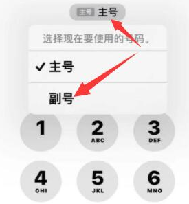 姑苏苹果14维修店分享iPhone 14 Pro Max使用副卡打电话的方法 