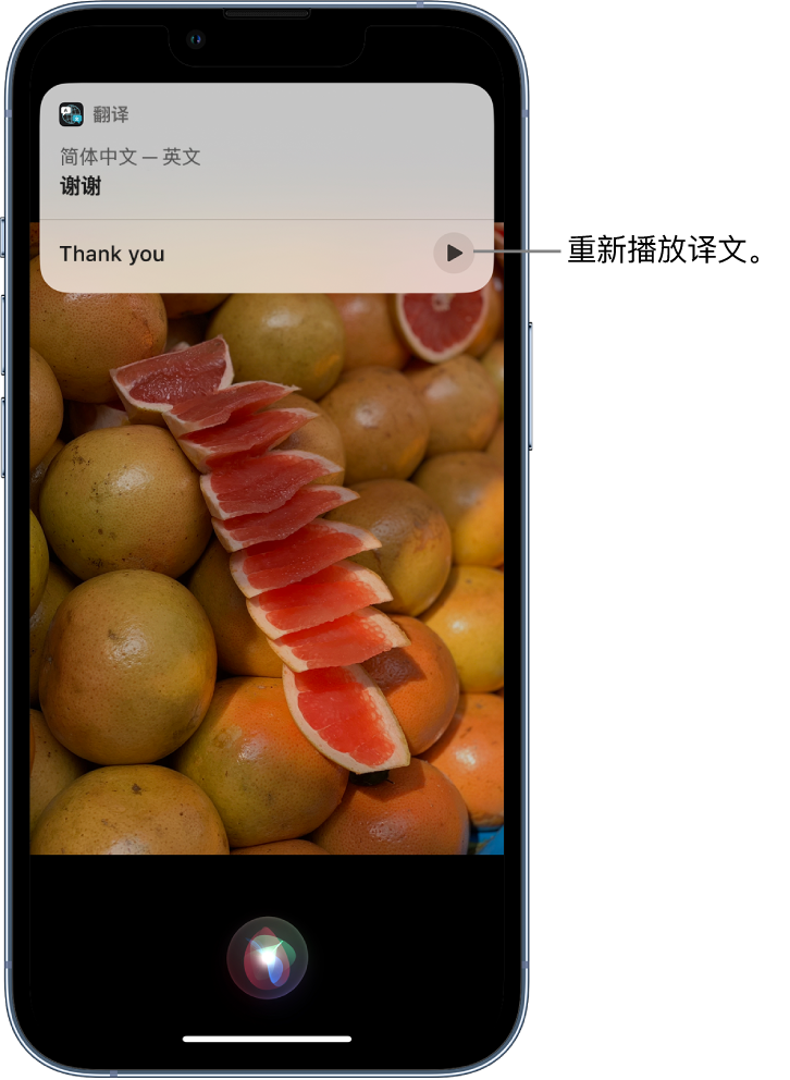 姑苏苹果14维修分享 iPhone 14 机型中使用 Siri：了解 Siri 能帮你做什么 