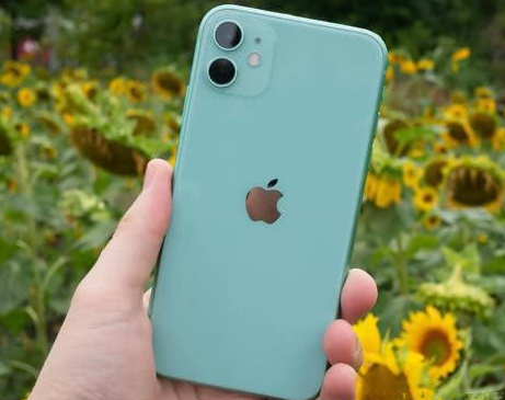 姑苏苹果维修点分享iPhone 11锁屏密码认知与使用科普 